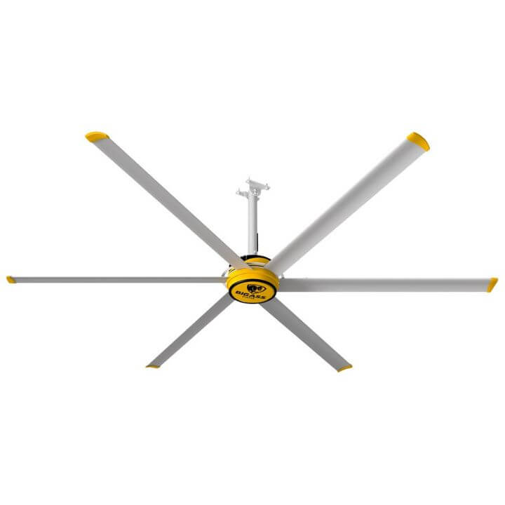 Ceiling Fans